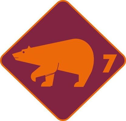 Bild von Level 7 - Eisbär