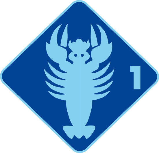 Bild von Level 1 - Krebs