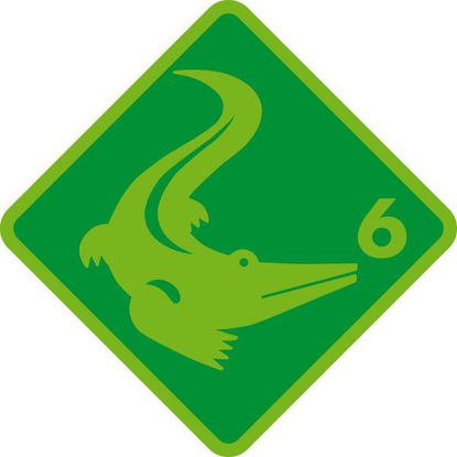Bild von Level 6 - Krokodil